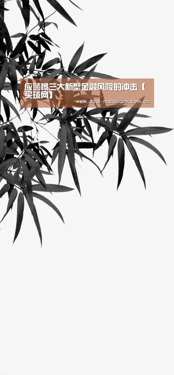 应警惕三大新型金融风险的冲击【买球网】(图4) 买球网
