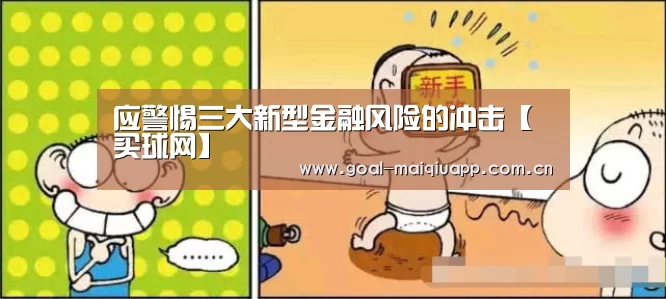 应警惕三大新型金融风险的冲击【买球网】(图3) 买球网