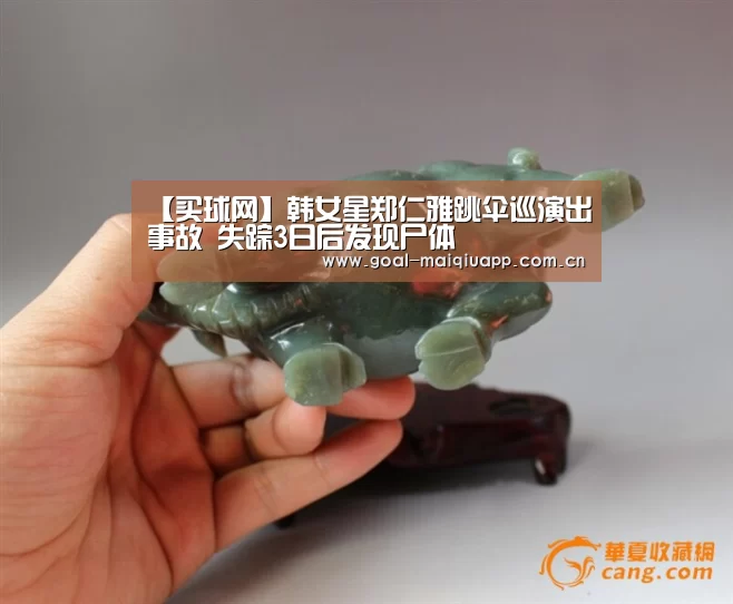 【买球网】韩女星郑仁雅跳伞巡演出事故 失踪3日后发现尸体(图1) 买球app下载